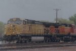 BNSF 4437 West